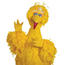 BigShowBird's Avatar